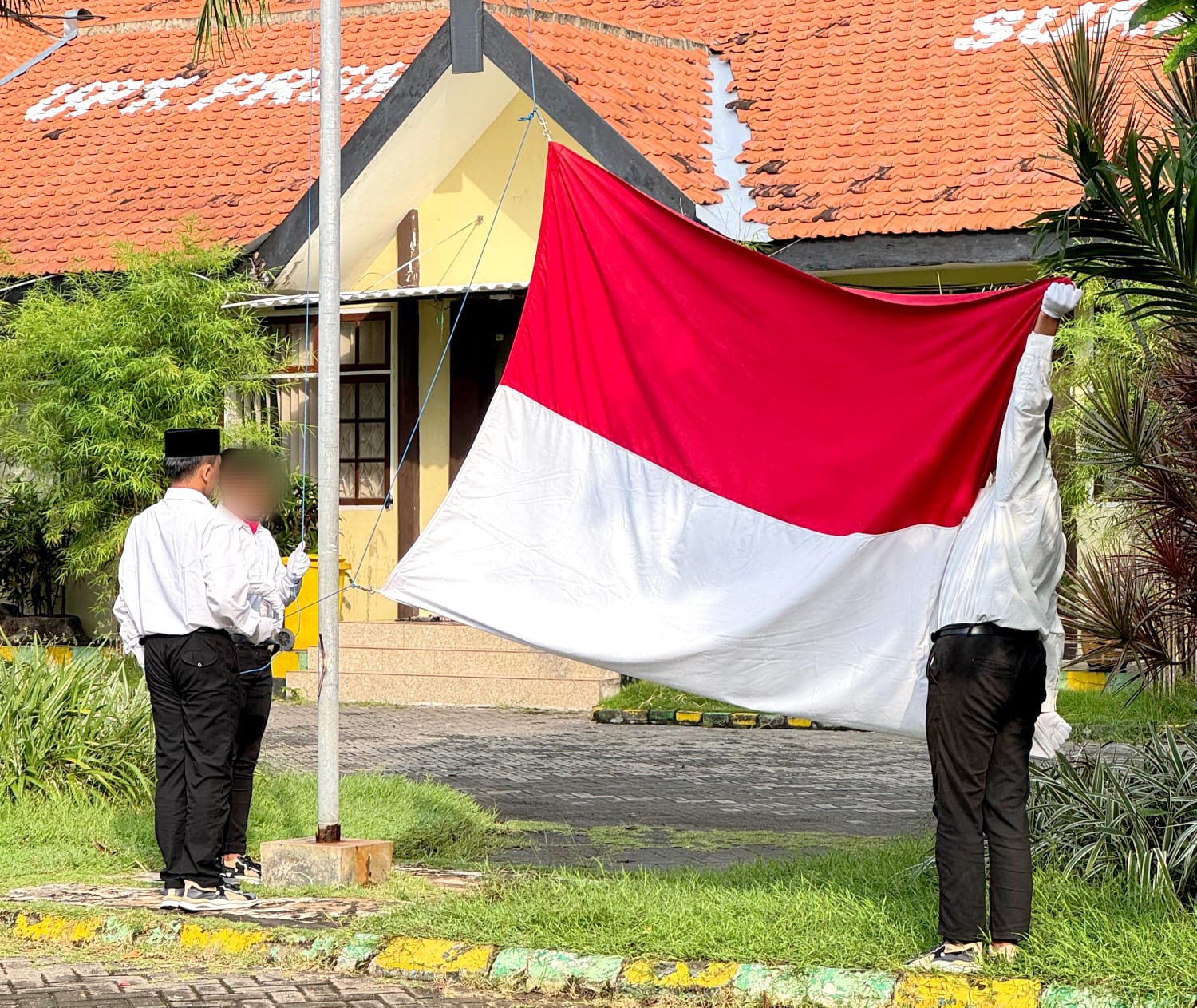 Post Image